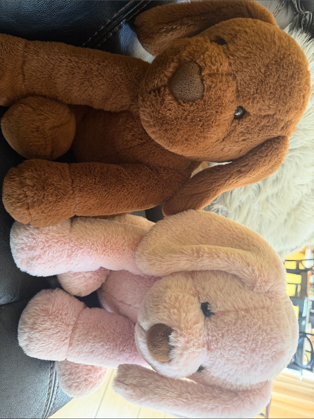 Soft Plush Puppy Duo - Pink and Brown Cuddly Stuffed Dogs